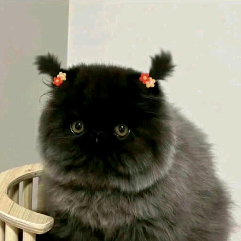 火锅儿（火坝）🍲 .⁹²⁴⁰