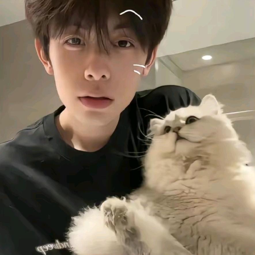 伤心男人涅槃重生