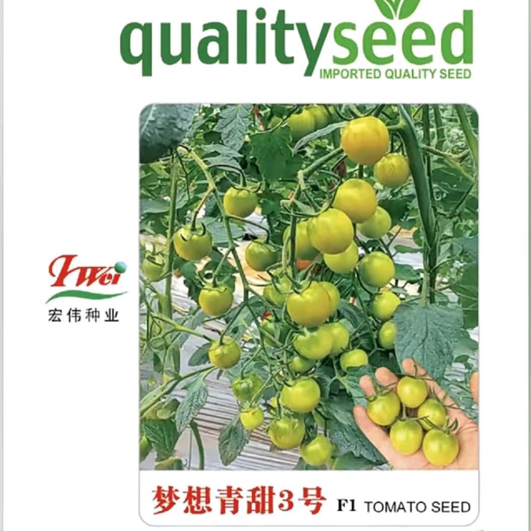 宏伟种业
