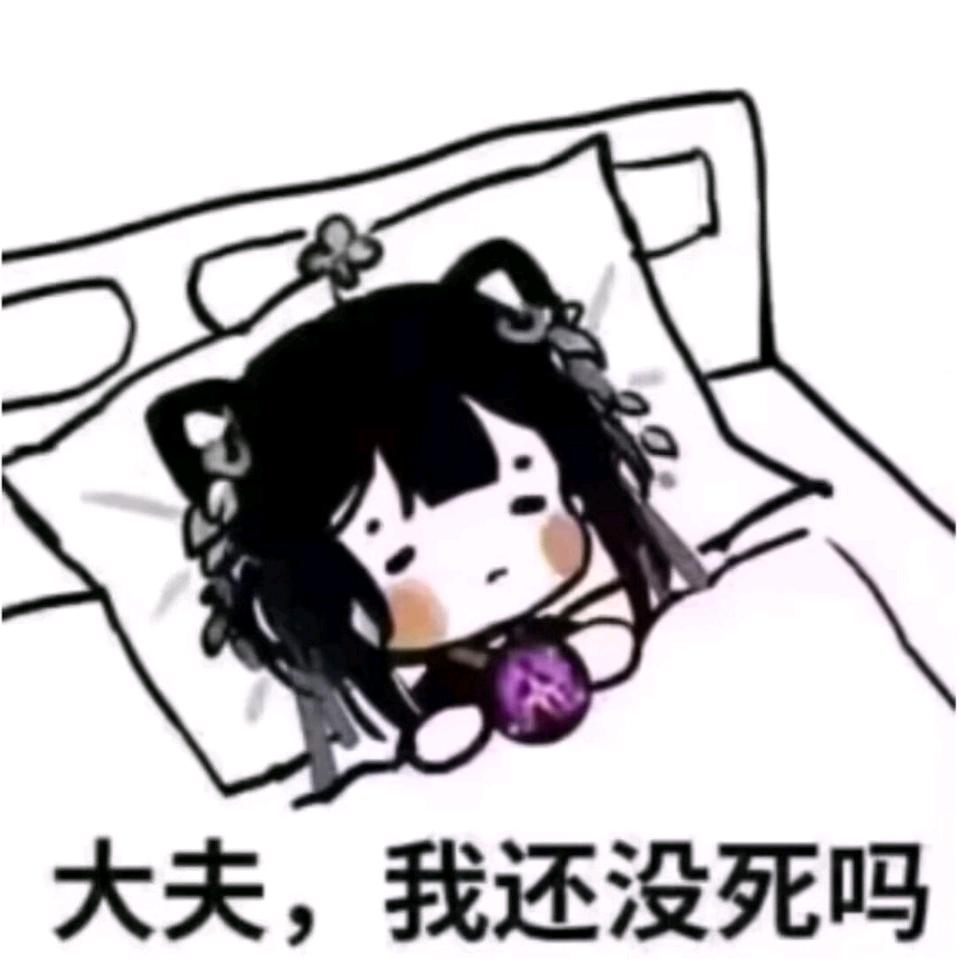 路过的猫猫侠