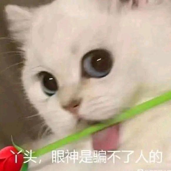 别放弃治疗