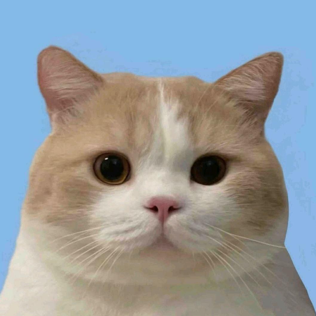 樂譩.