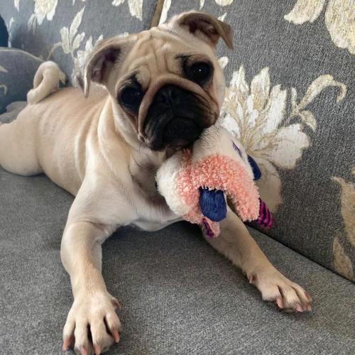 不好   不好  不好！