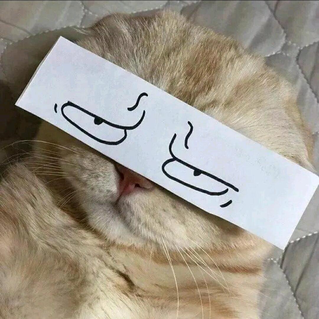 天临