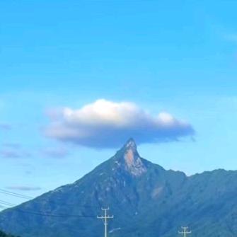 匆匆回家了