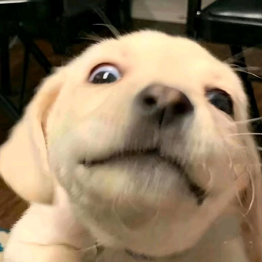 万万