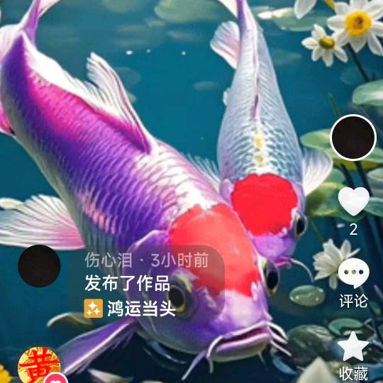 龙在天