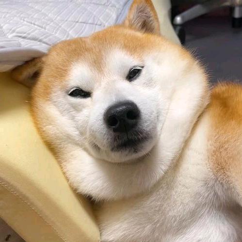 洋子