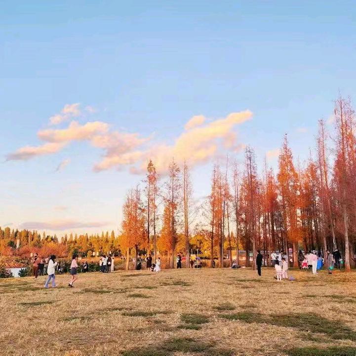 埋藏在月亮里的温柔