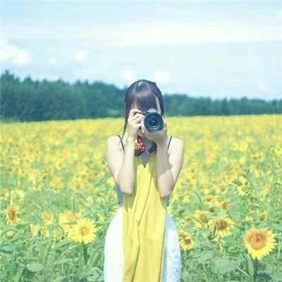 那些花儿