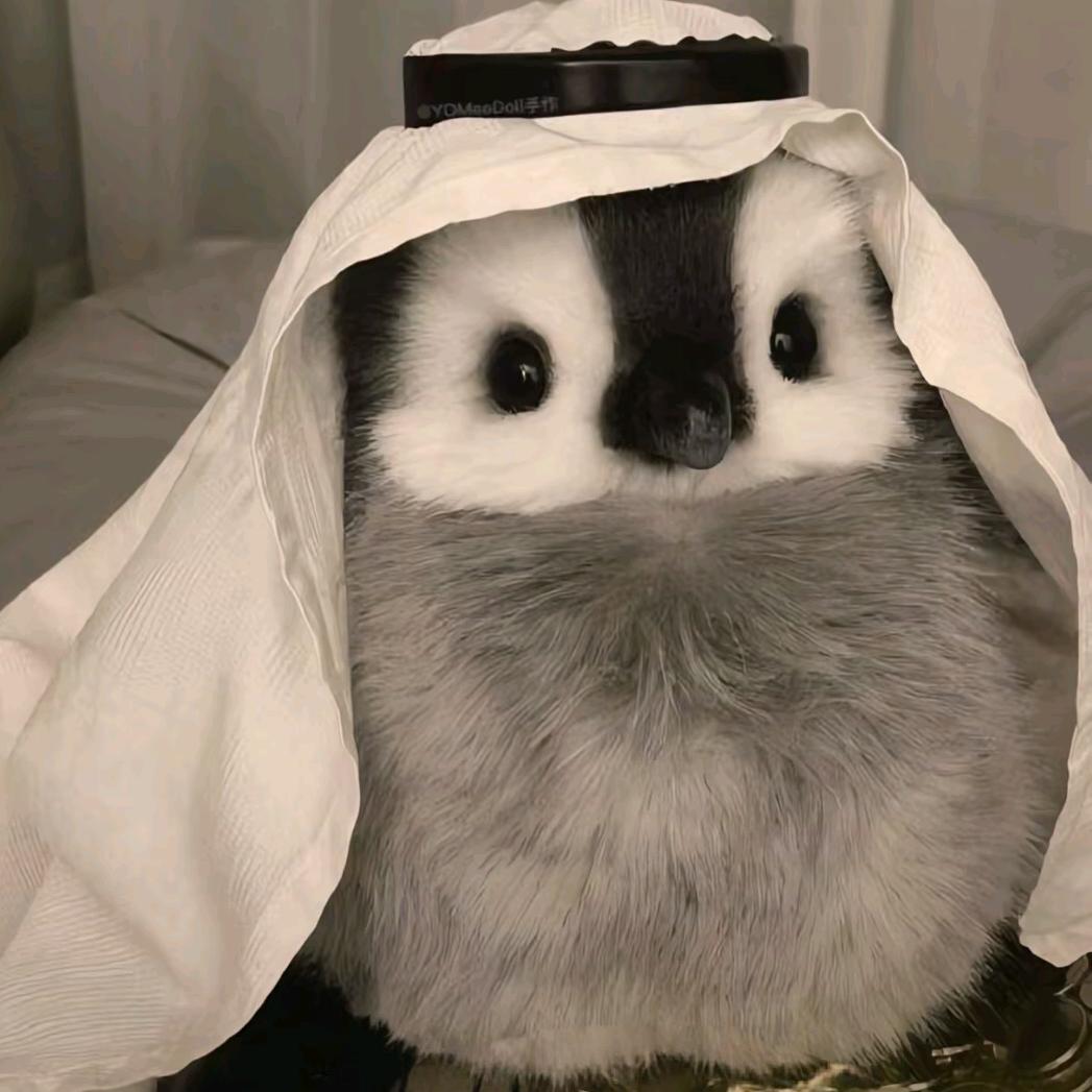 乌漆麻黑