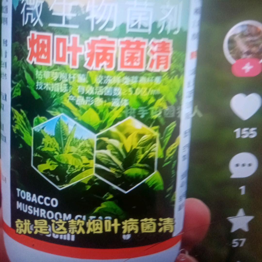 阿迪达