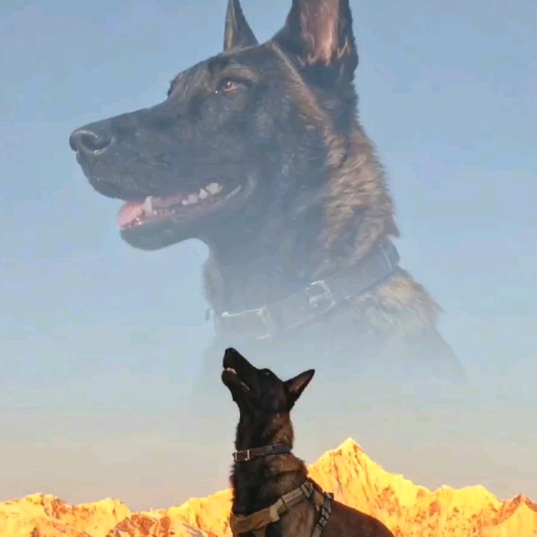 马犬虎子