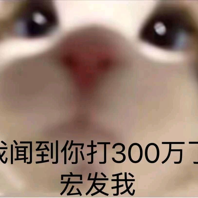 社恐直播用
