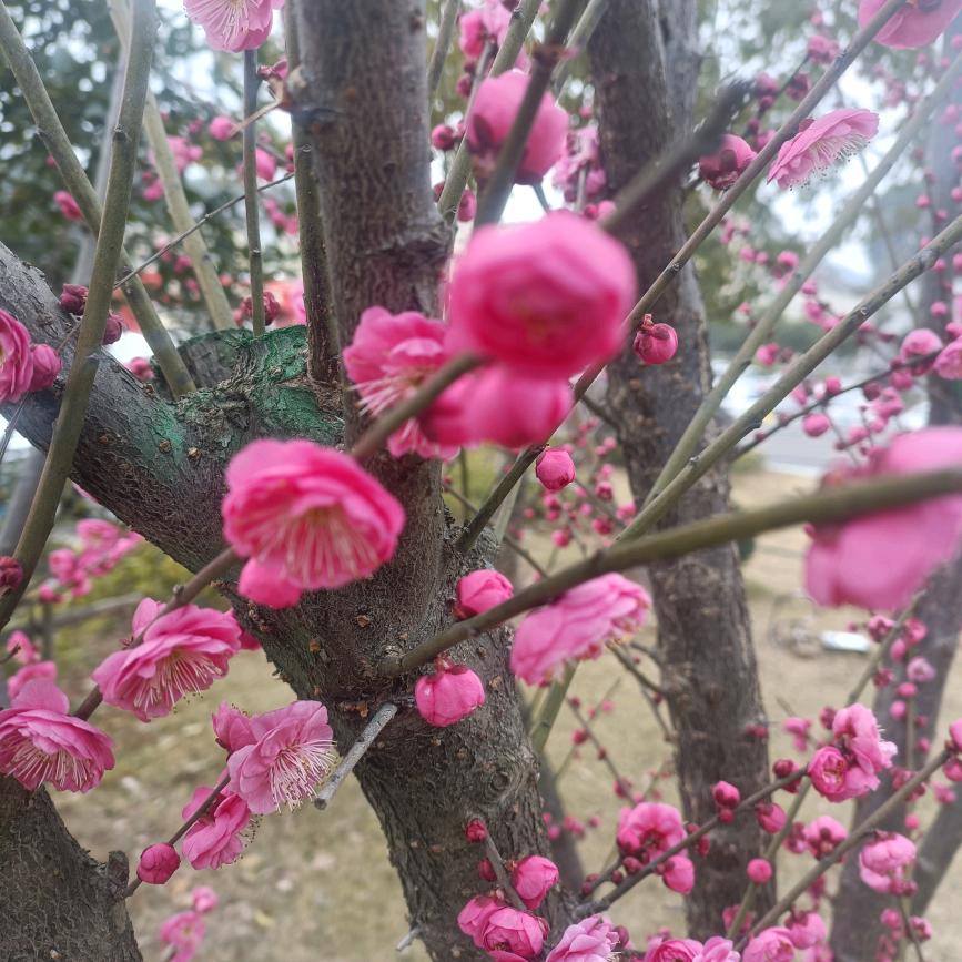 越过越好