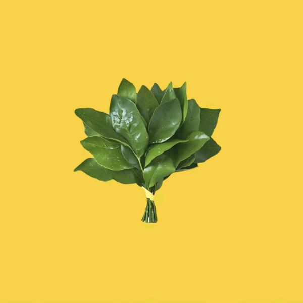 我是富婆🍋