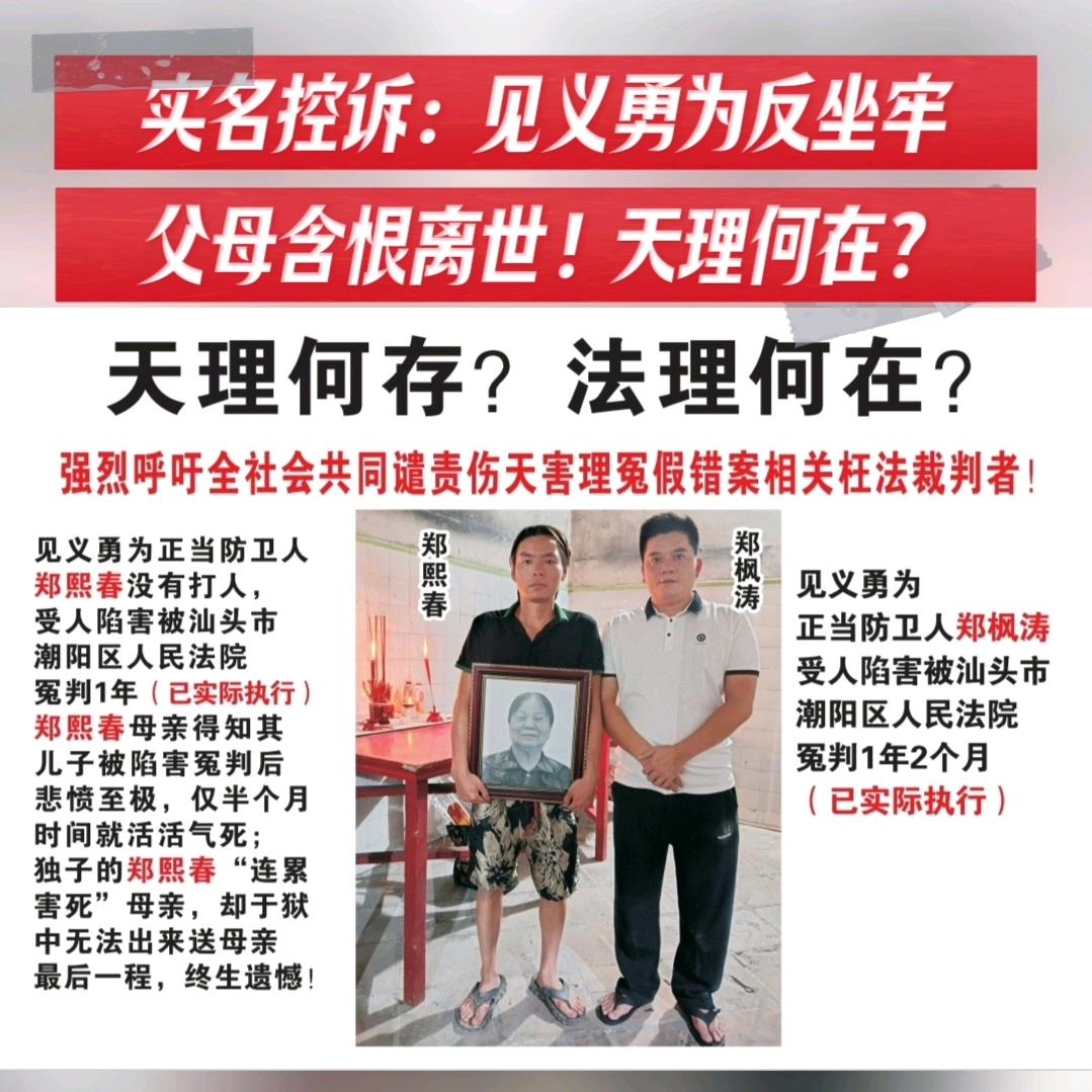 郑枫涛