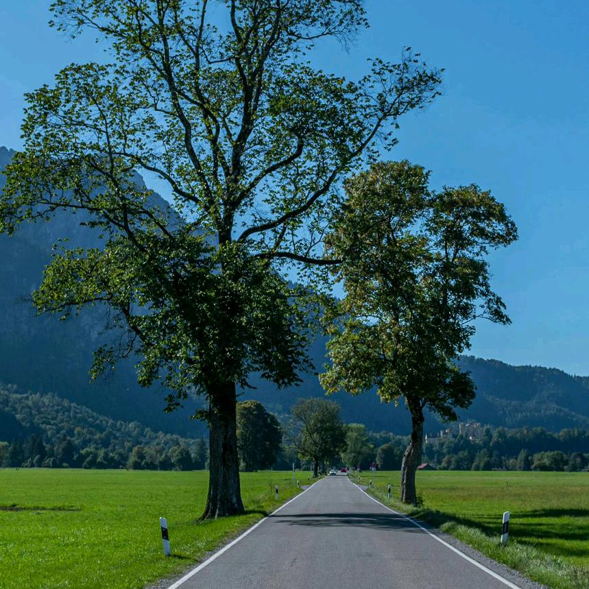 温宿无人机T100打药