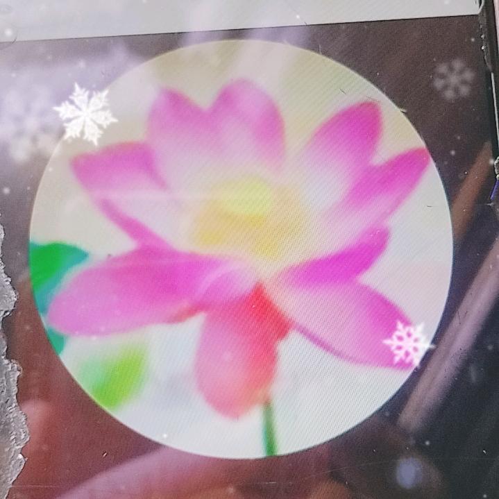 用户9988神动凡仙