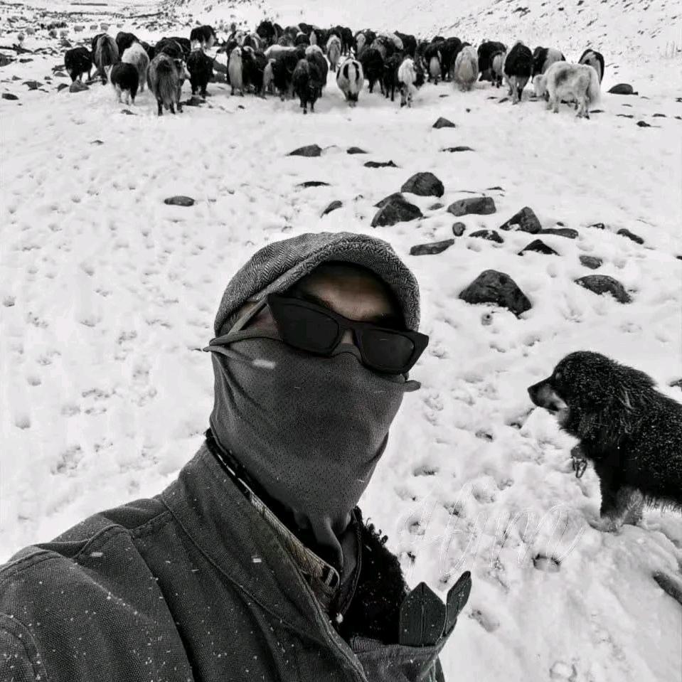 几度爱.