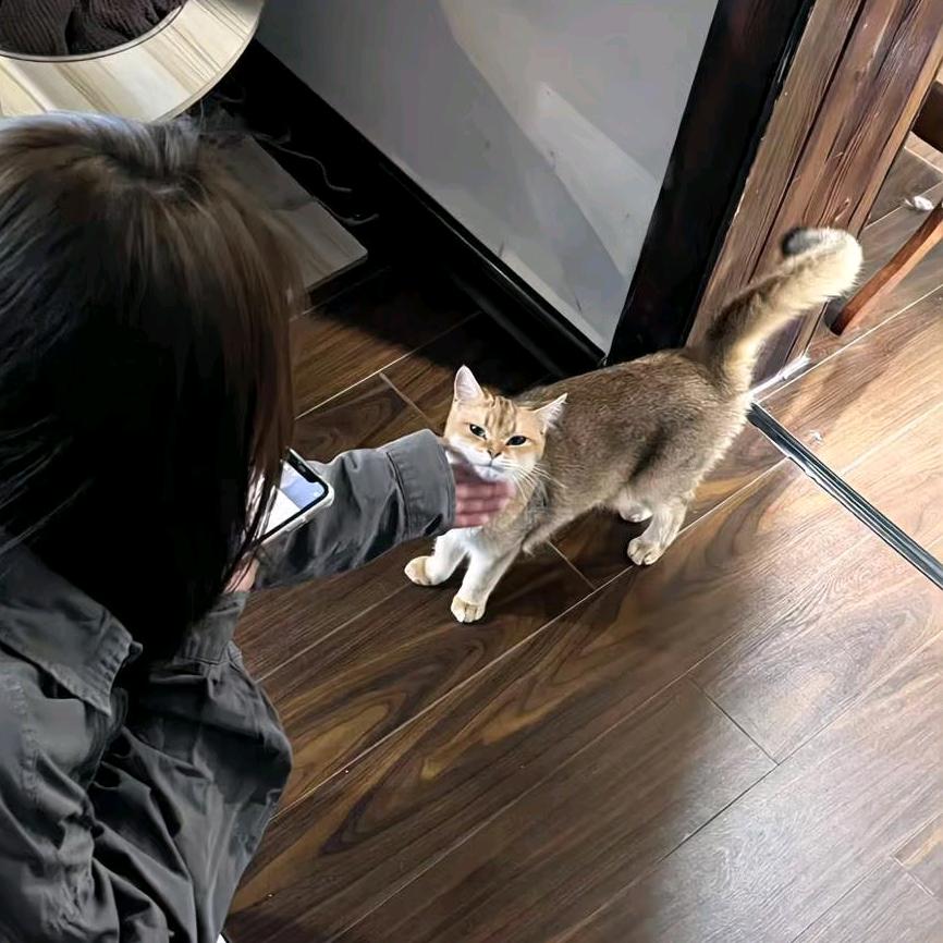 想谈恋爱