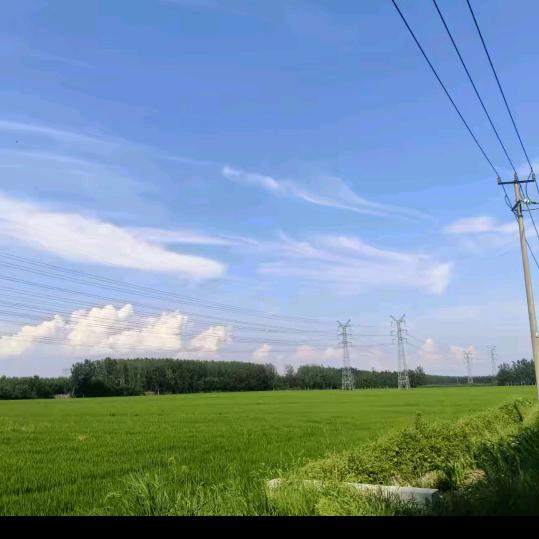 仙子