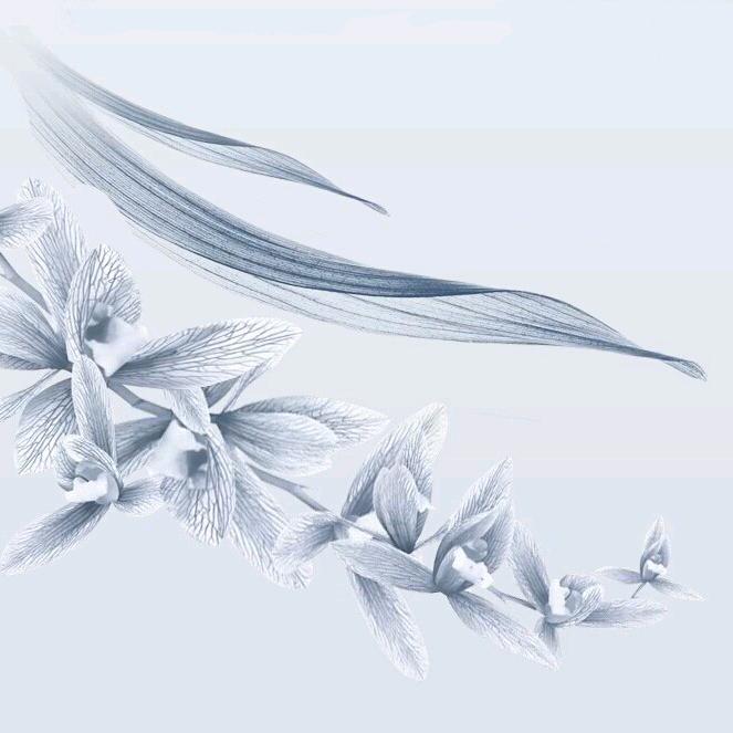 飞鱼电竞游戏工作室