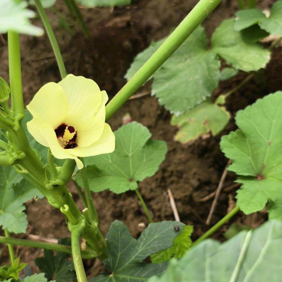 欢欢喜喜有一天