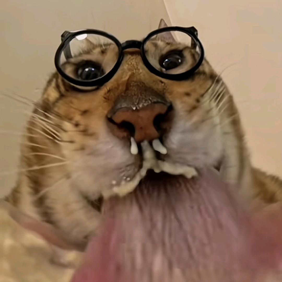 边尘之边城