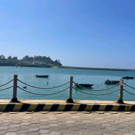 平* ᶘ ᵒᴥᵒᶅ