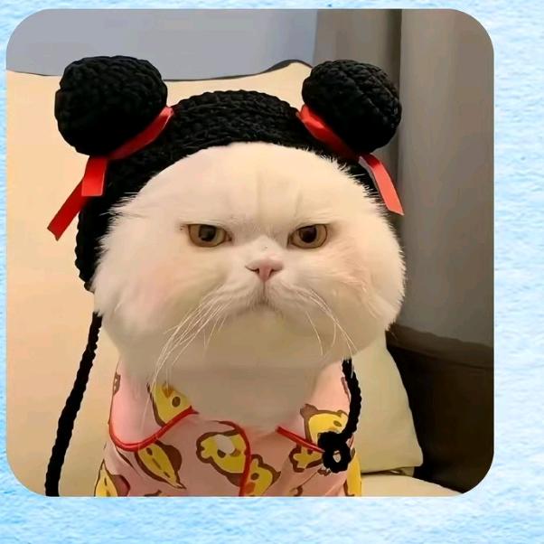 壹