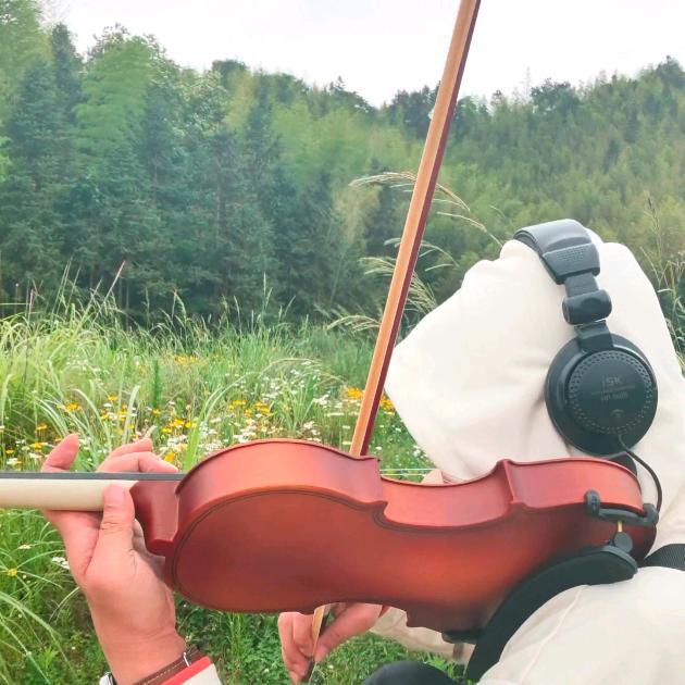 六弦🎶