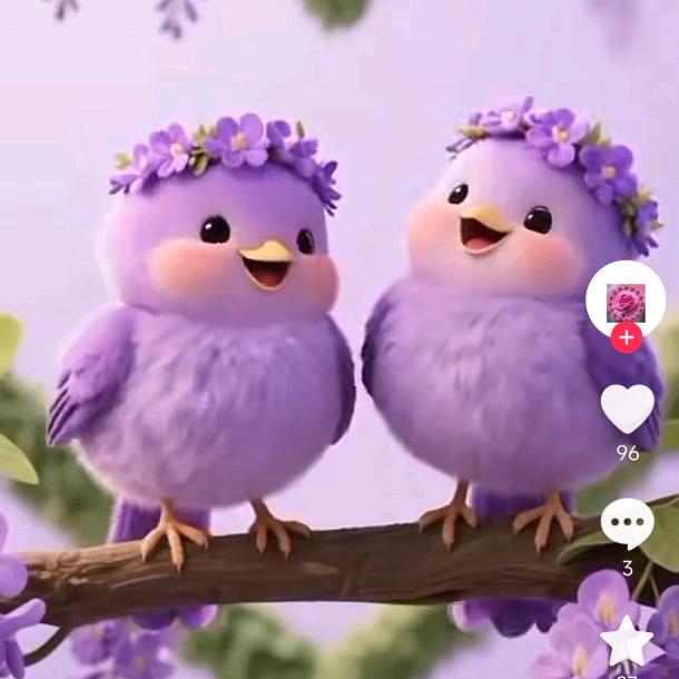 🌷🌷有缘 遇 见🌹🌹