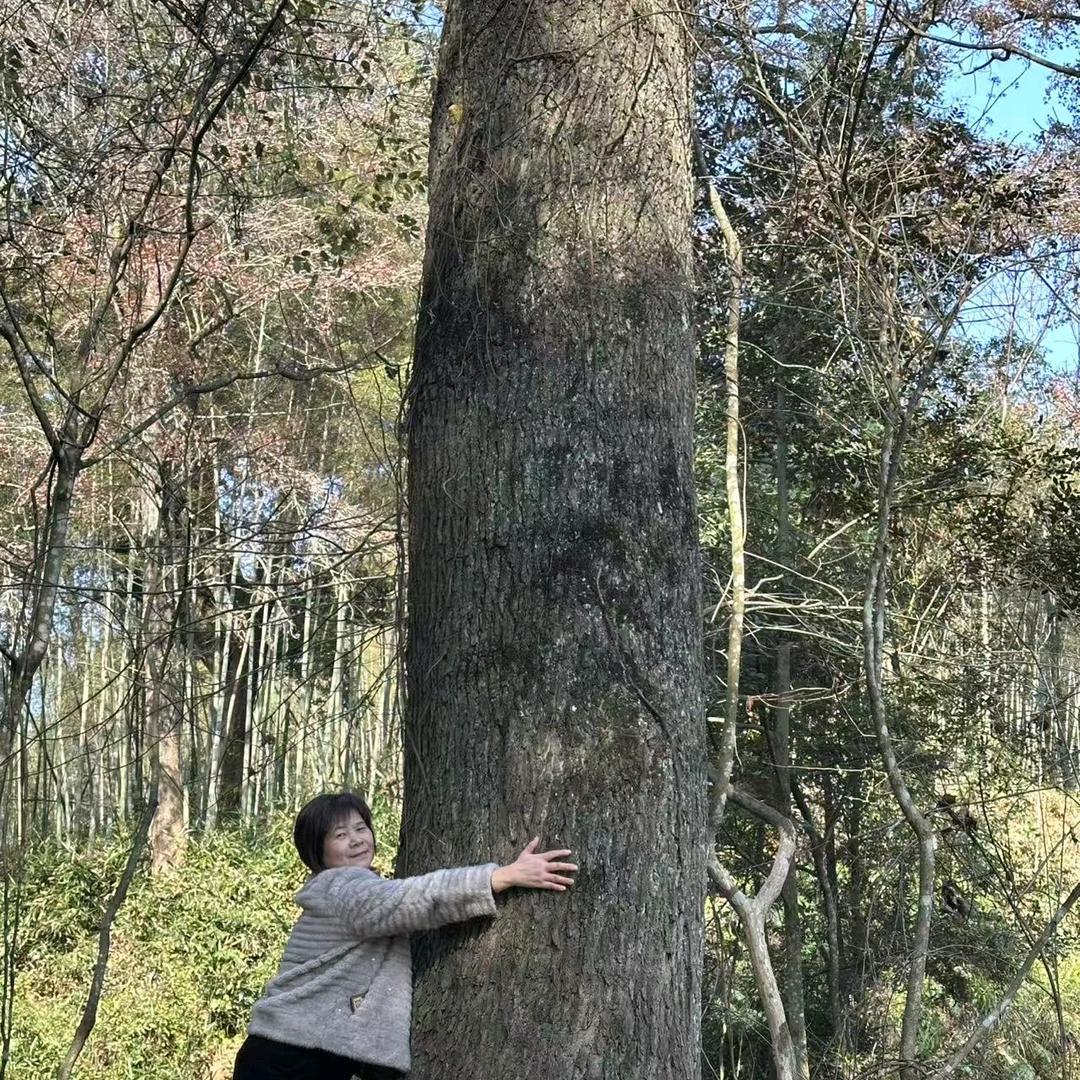 越来越好