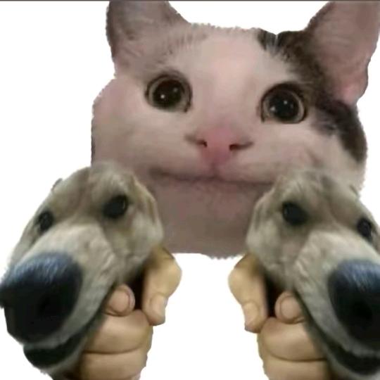 猪猪哇