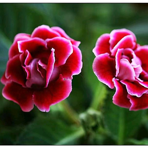 。痛苦一生。真的伤不起。。