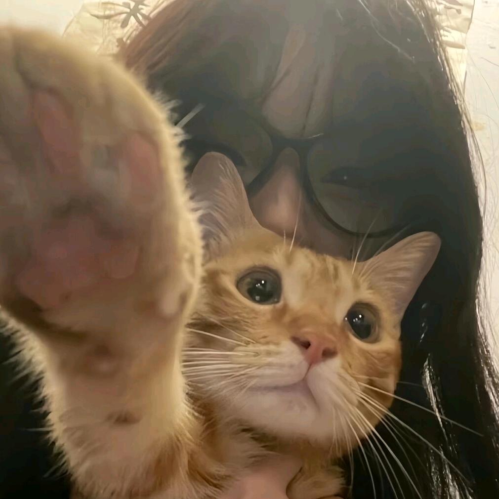 甜疏