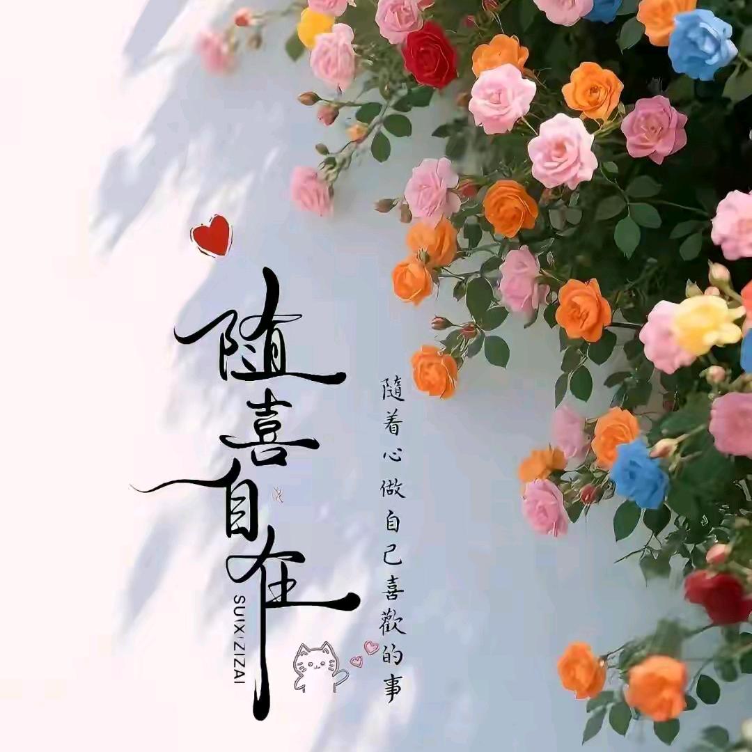 百媚