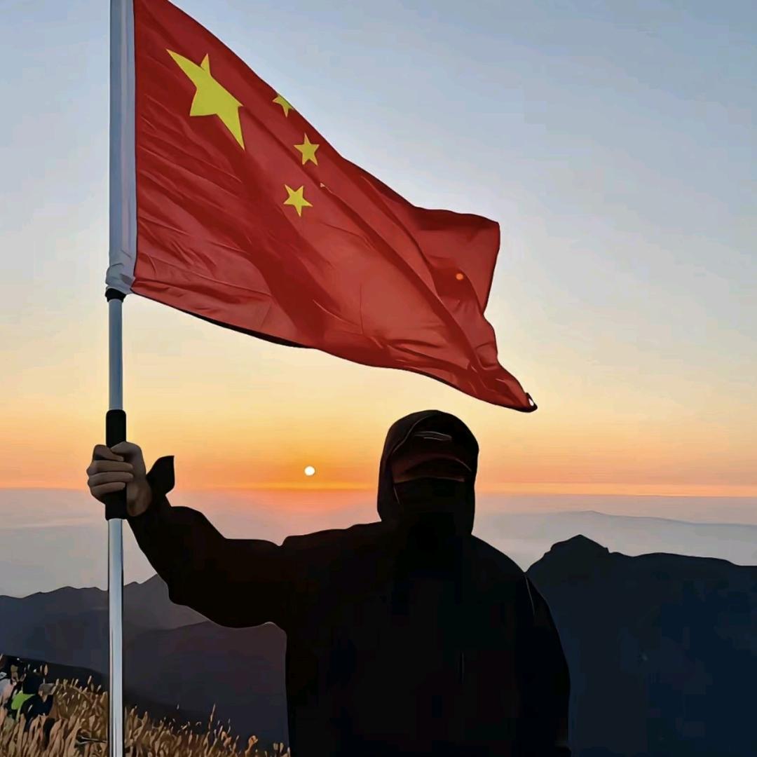 抹香鲸｡◕‿◕｡