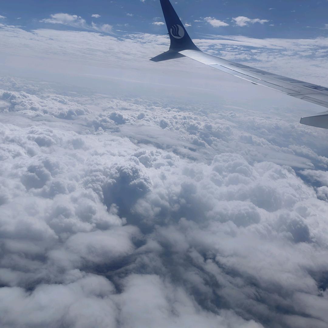 让生活充满阳光