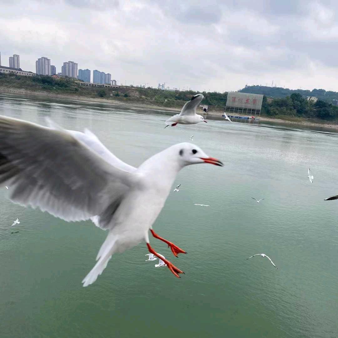 阎王