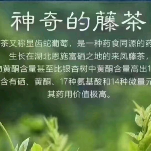 山野阿秀