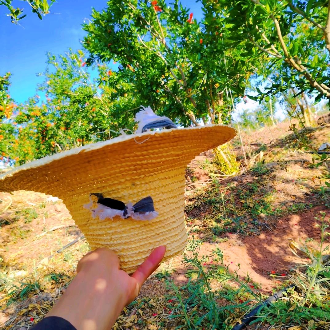 兔八哥水庄园-牛牛