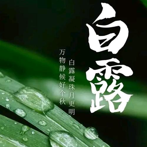 白露#