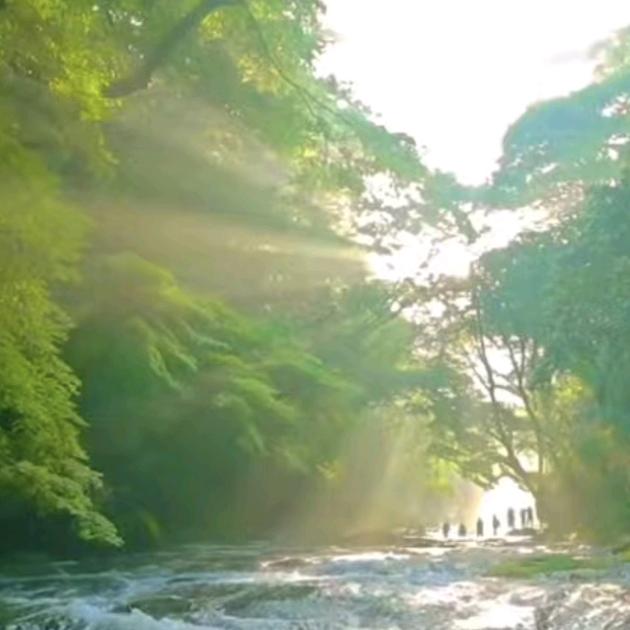 🏆尚方谷养🏆