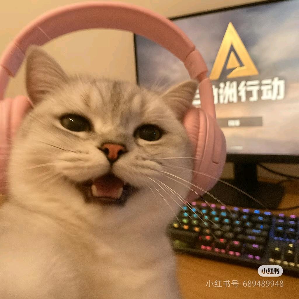 鲨鱼🦈（三角洲行动）