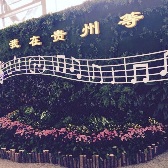 🍀朱家二小姐🍀