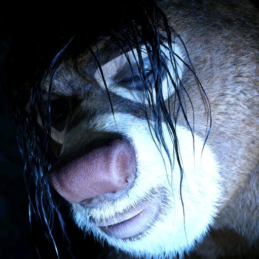 我妈妈说名字太长会有傻子跟着念