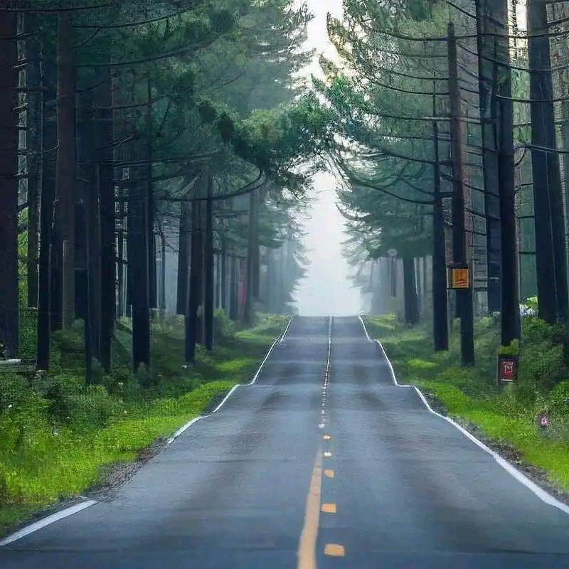 羊羊🐑（有声小说）