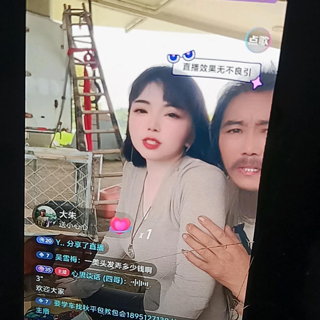 野鸭配野鸡